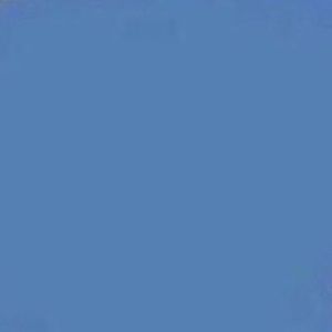 Meet your Posher, Liz